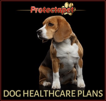 Protectapet Dog Health Care Plans